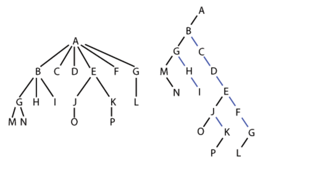 tree-and-binary-tree